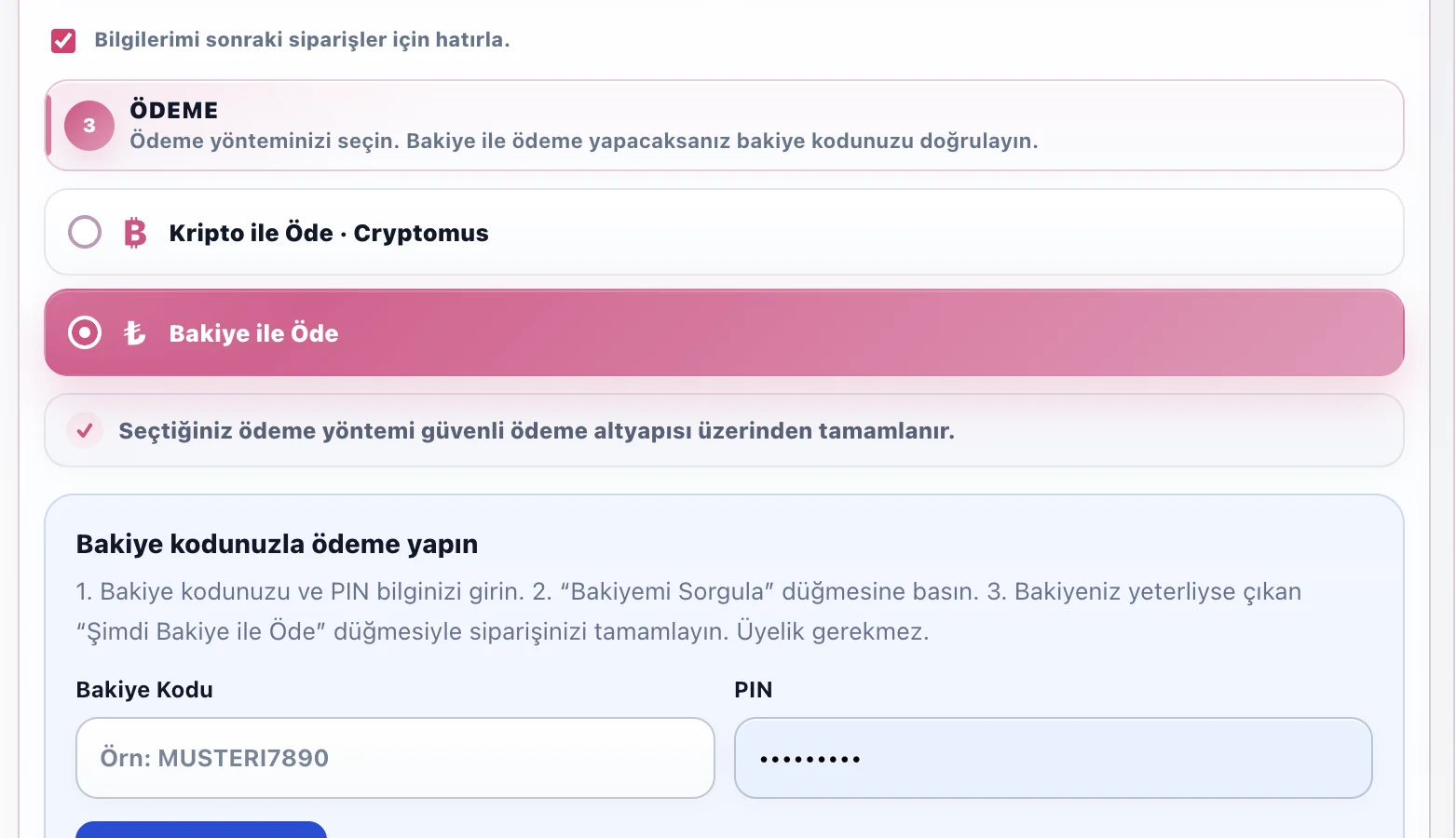 Ödeme bölümünde Bakiye ile Öde seçeneğinin işaretlendiği örnek ekran görüntüsü